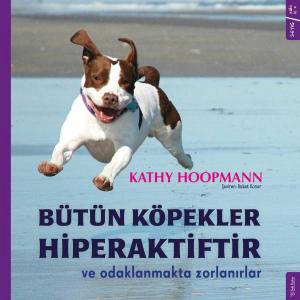 Bütün Köpekler Hiperaktiftir ve Odaklanmakta Zorlanırlar Bütün Köpekler Hiperaktiftir ve Odaklanmakta Zorlanırlar