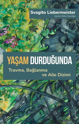 Yaşam Durduğunda Svagito Liebermeister